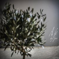 Au Fil Des Jours — photo 8