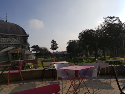 Café de l'Orangerie — photo 10