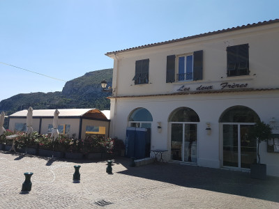 Les deux frères 