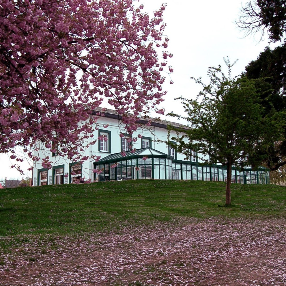 La sapinière