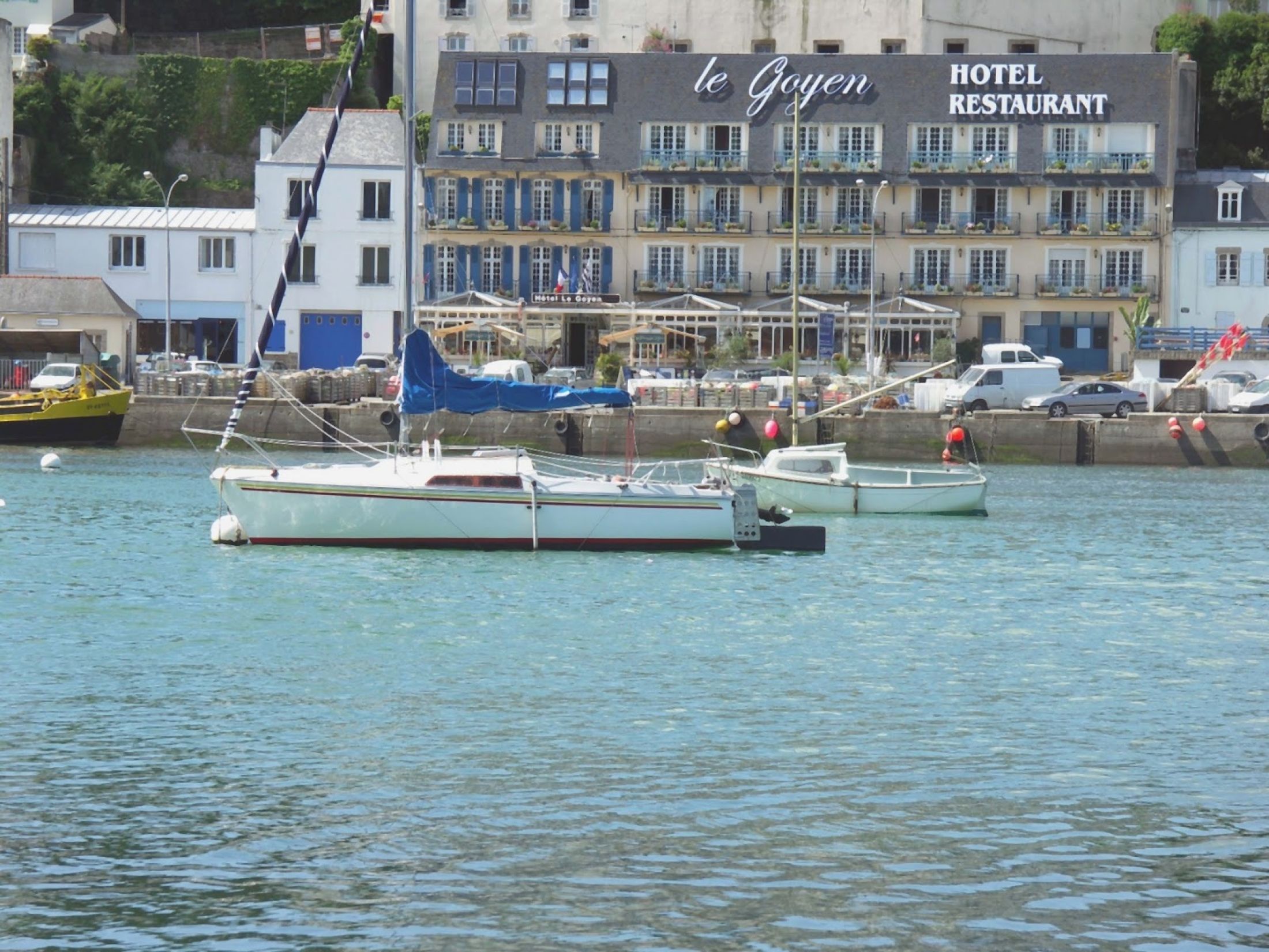 Le Goyen