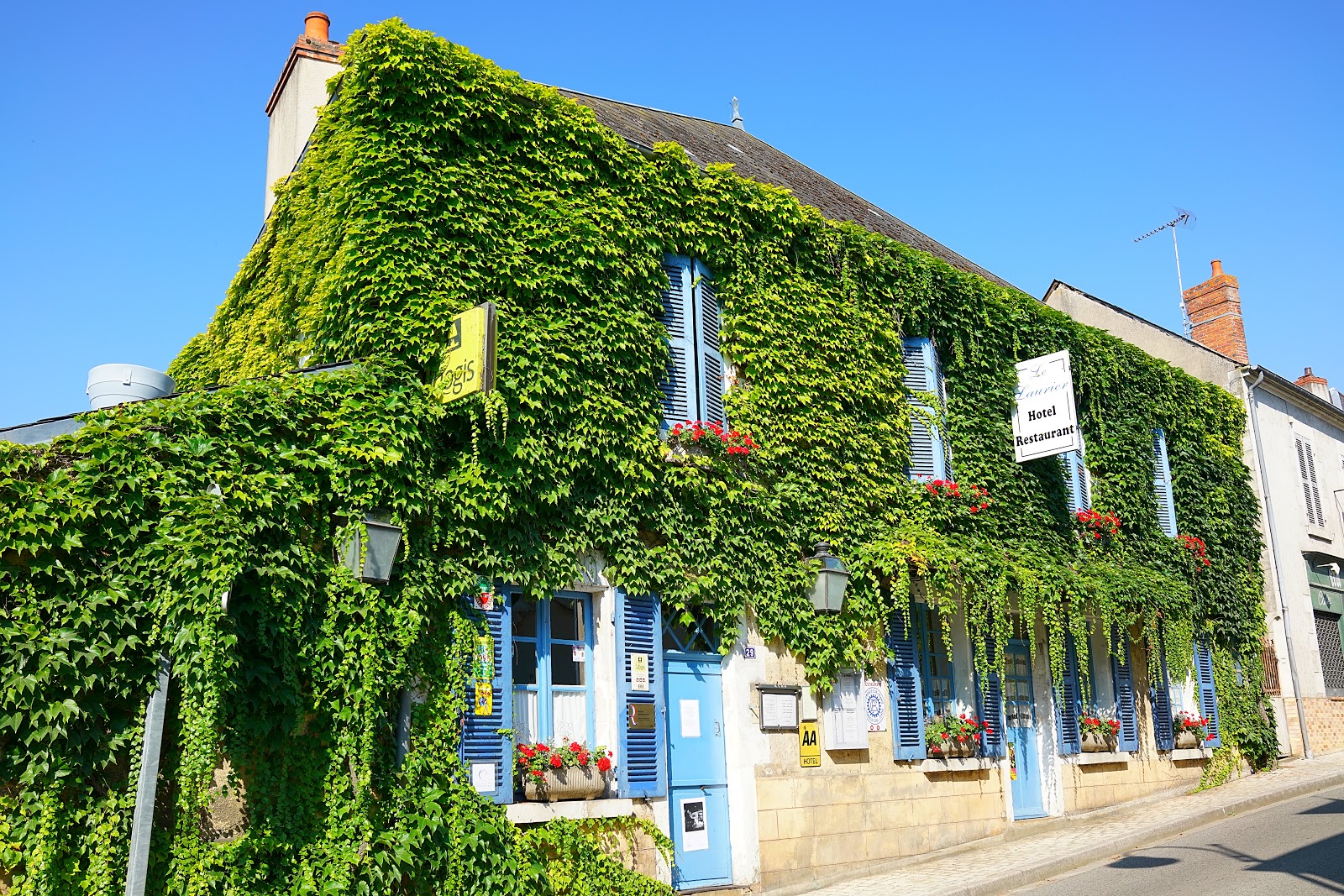Le Laurier