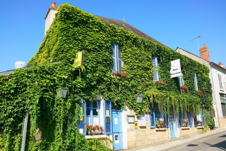 Le Laurier