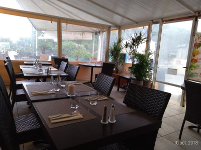Babbo — photo 2