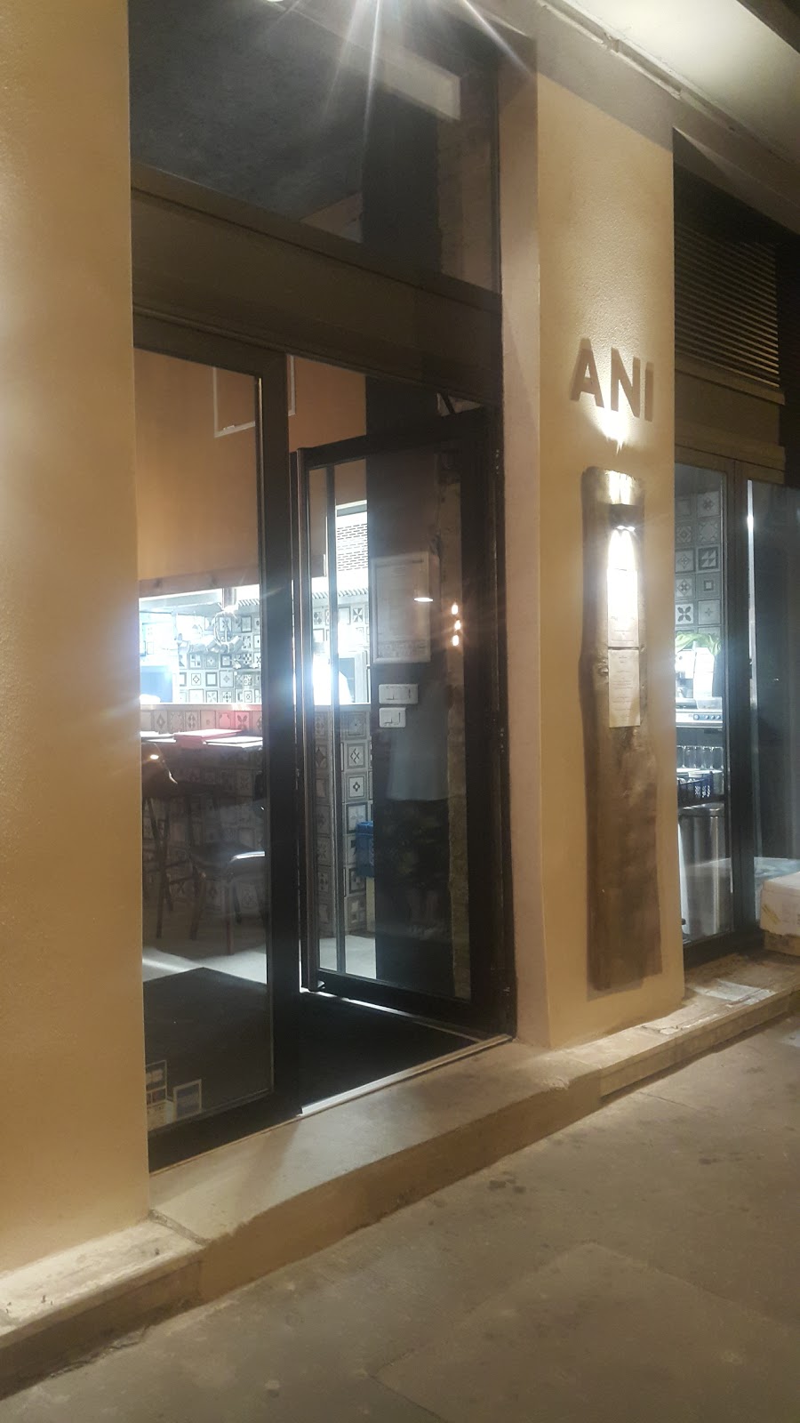 Ani — photo 4