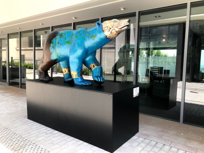 Têtedoie — photo 4