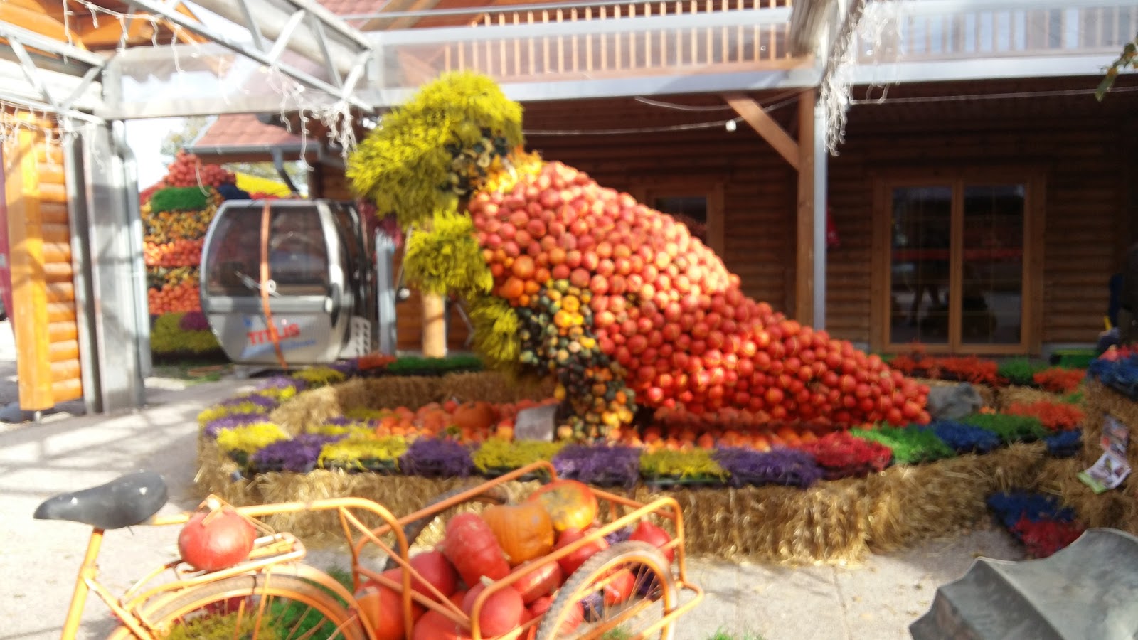 La Ferme Maurer — photo 2