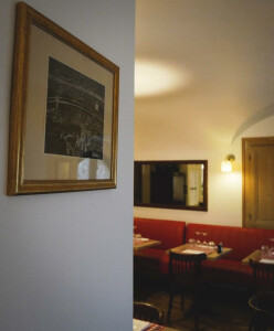 Le Casse Museau — photo 2