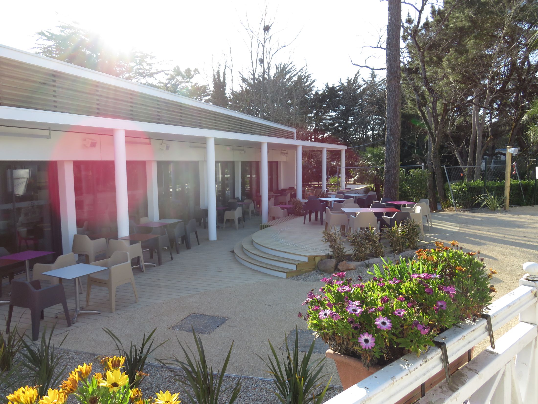 Le Comptoir JOA - Casino des pins
