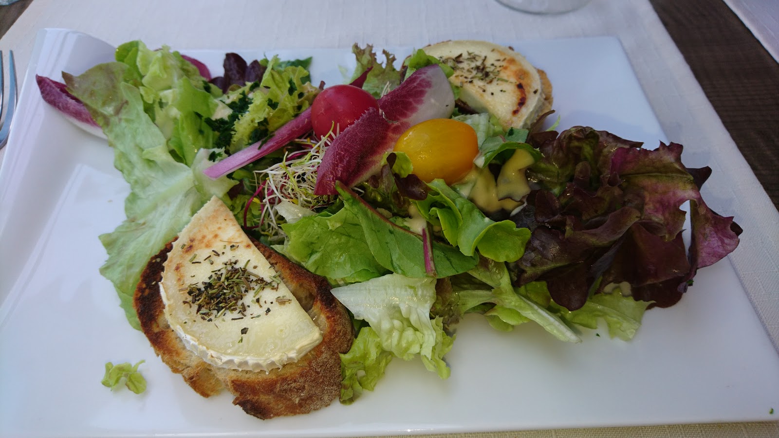 Le Goeland