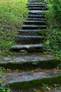 Le Manoir de Bellecombe — photo 10
