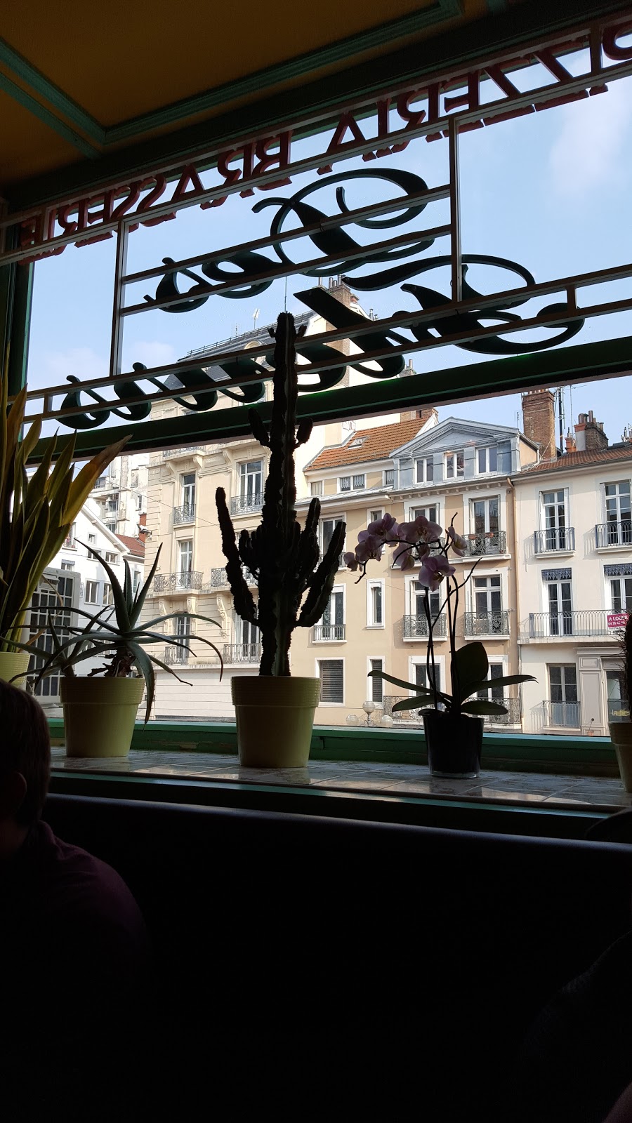 Brasserie des Fleurs — photo 7