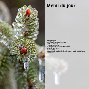 L'ardoise du jour de LE CABINET VERT