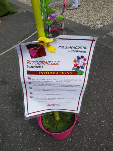 Le Kylia — photo 3