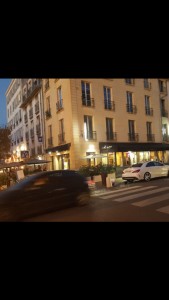 Le Chat Qui Prise — photo 7