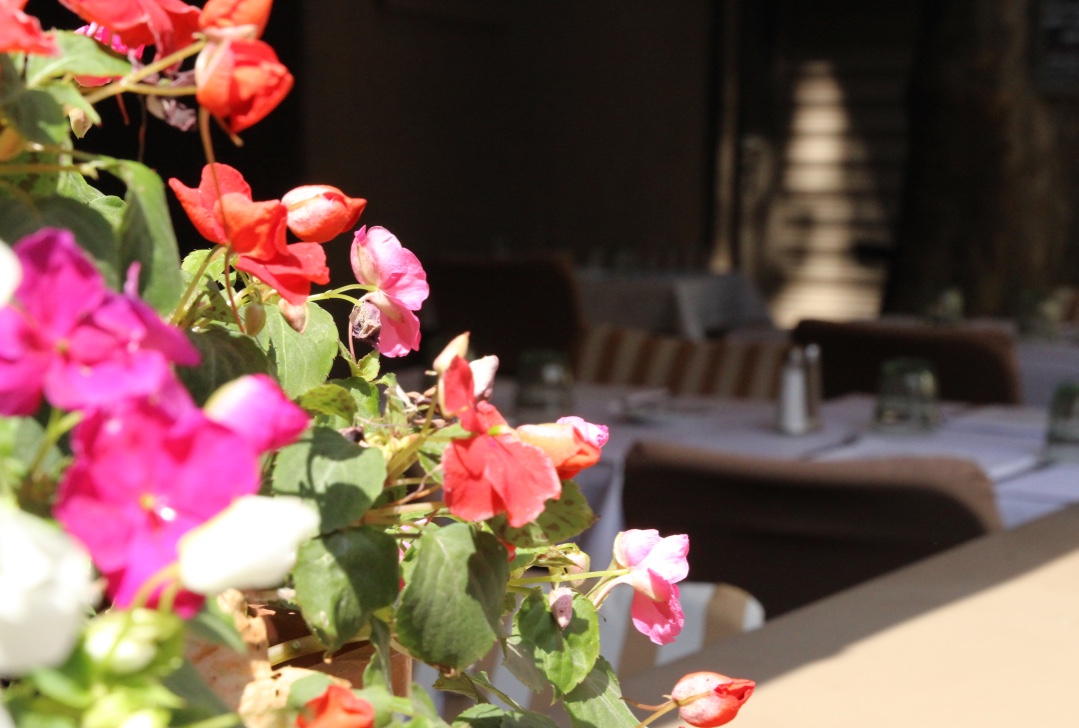Le Bistrot des Maquignons — photo 1