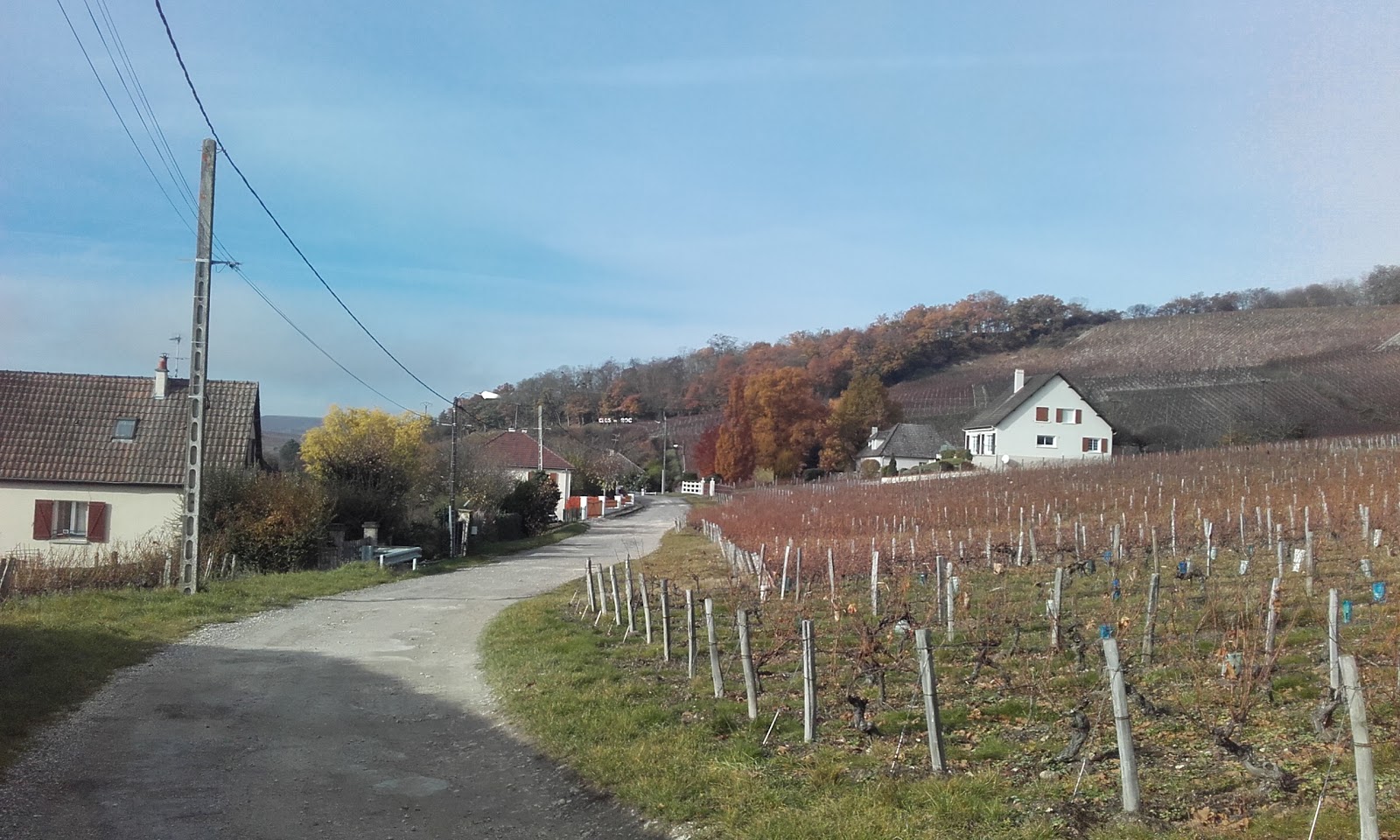 Le Ligerien