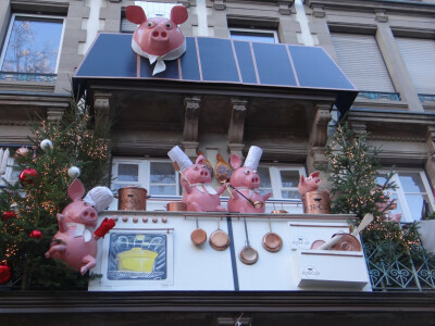 Porcus — photo 8