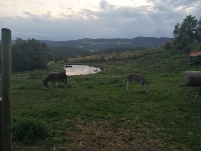 Le Droublieï — photo 8