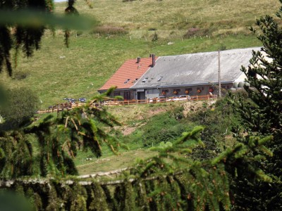 Ferme Auberge Rothenbrunnen — photo 2