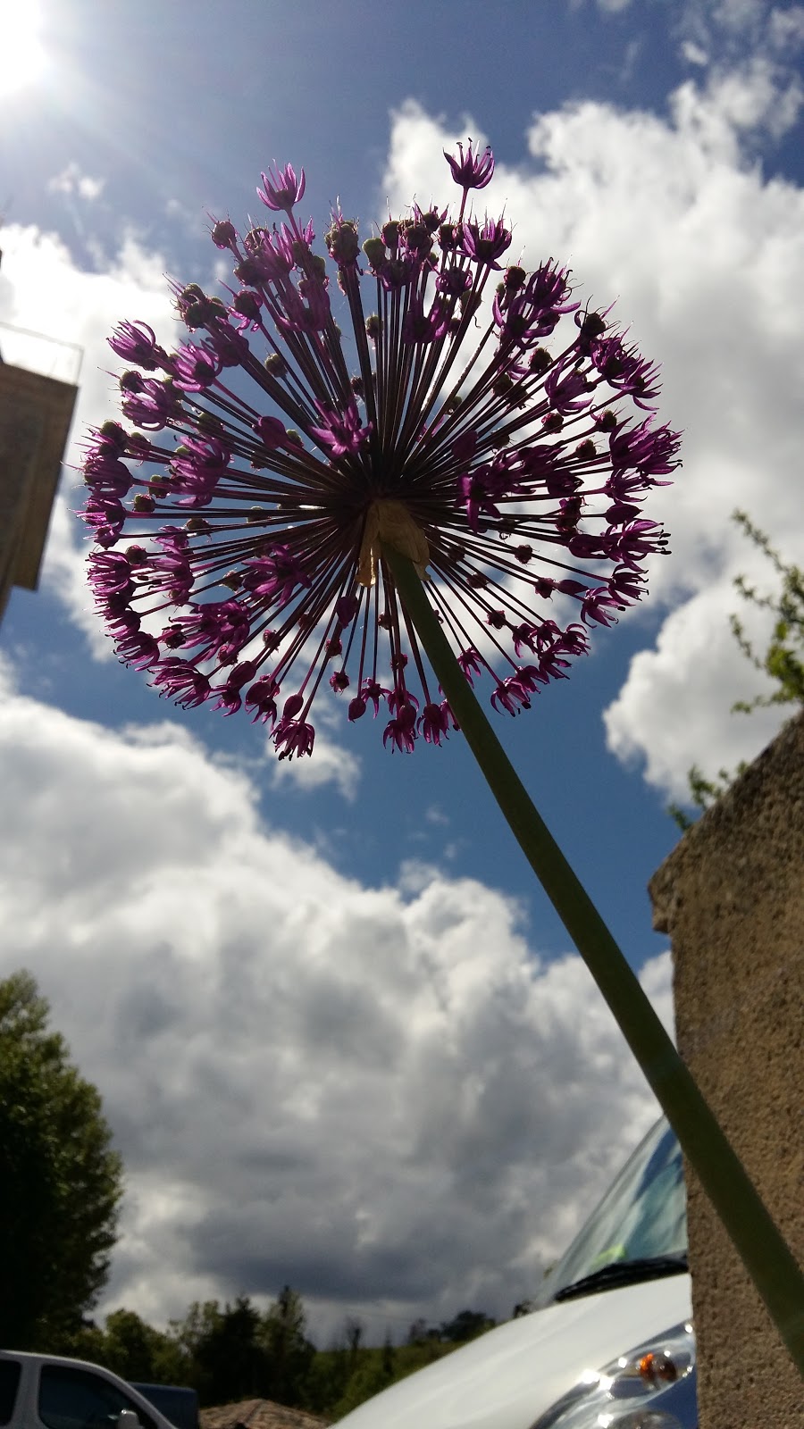 La Chouette Gourmande — photo 6