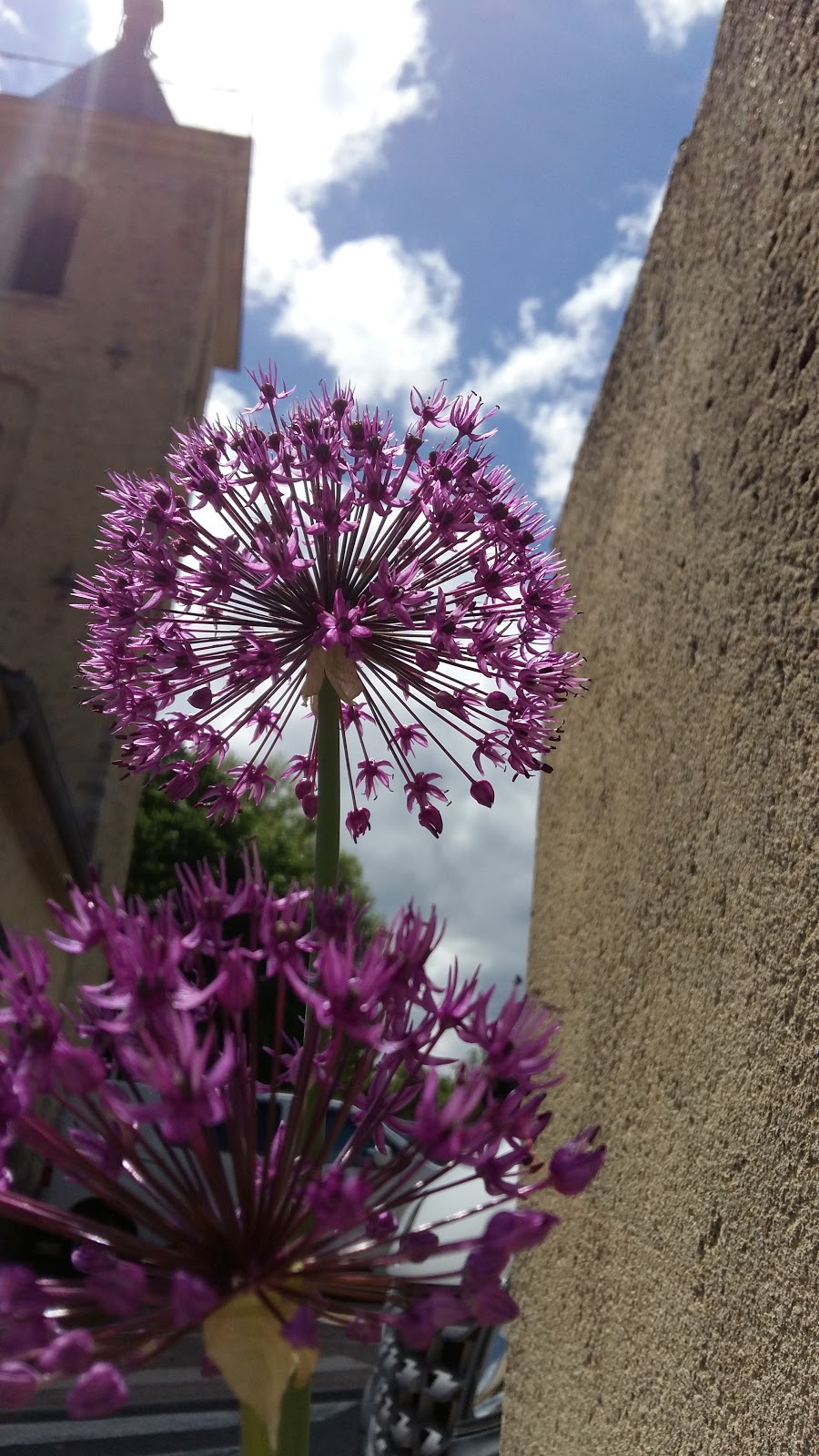 La Chouette Gourmande — photo 9