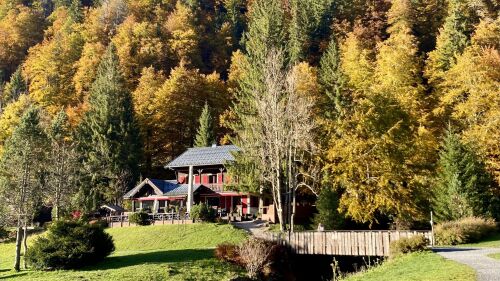 L'auberge du Bout du Lac — photo 5