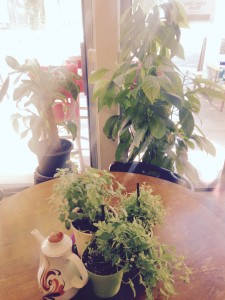 Café Conception — photo 2