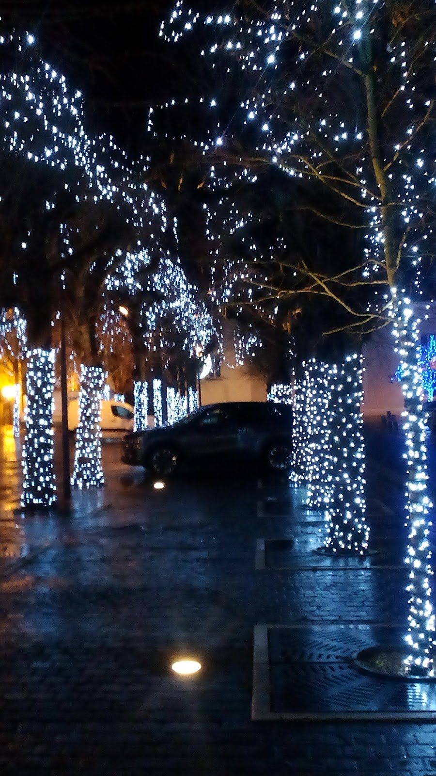 L'Ardoise — photo 8