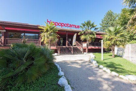 Hippopotamus — photo 3