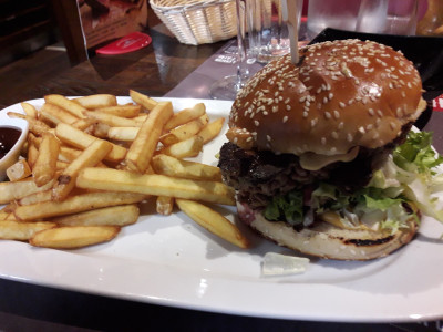 Hippopotamus — photo 9