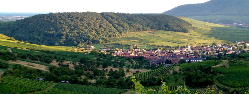 Auberge au Vieux Pressoir — photo 3