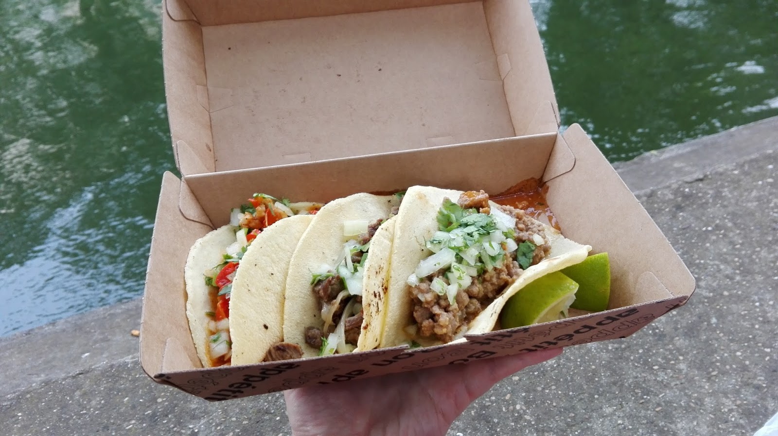 El Nopal — photo 9