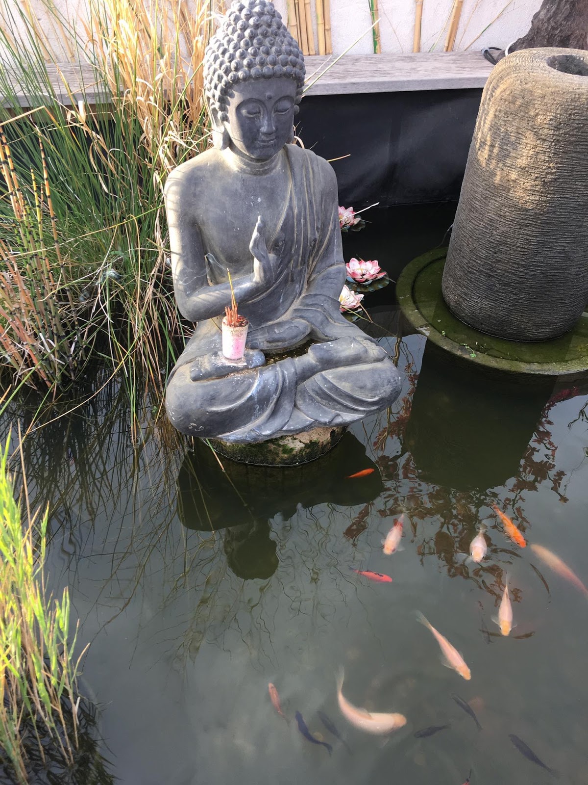 Zen Garden