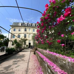 Hôtel des Eaux