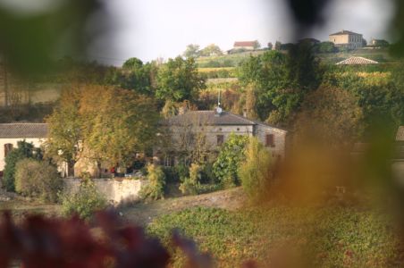Domaine de Gayssou (CHR)