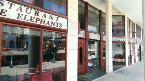 Mille Éléphants — photo 3