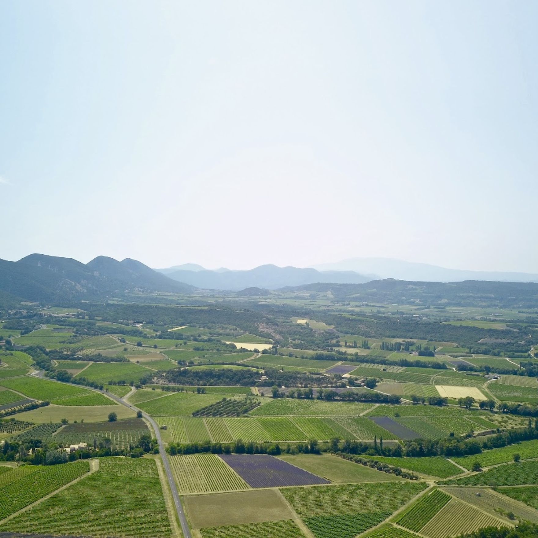 Domaine Piallat