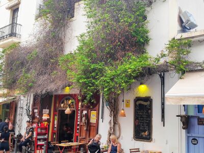 La Bodega — photo 5