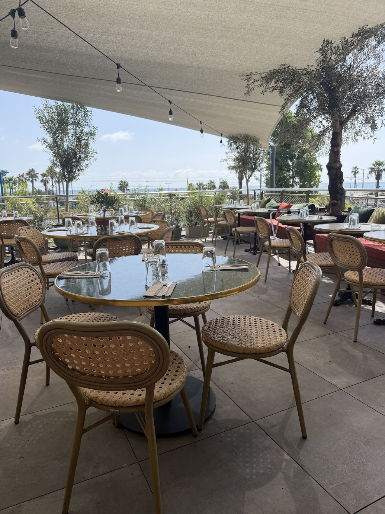 Olea Villeneuve-Loubet