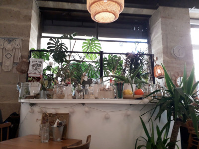 Kitchen Garden — photo 6