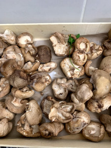 Food du Goût — photo 7