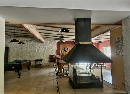 La guinguette des copains