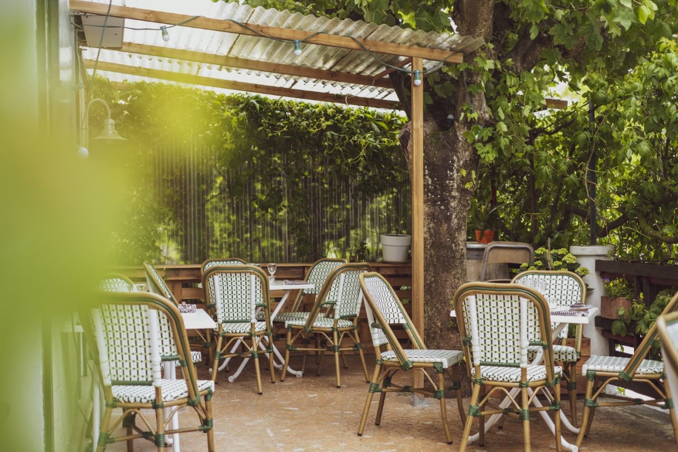 Bistro Sauvage
