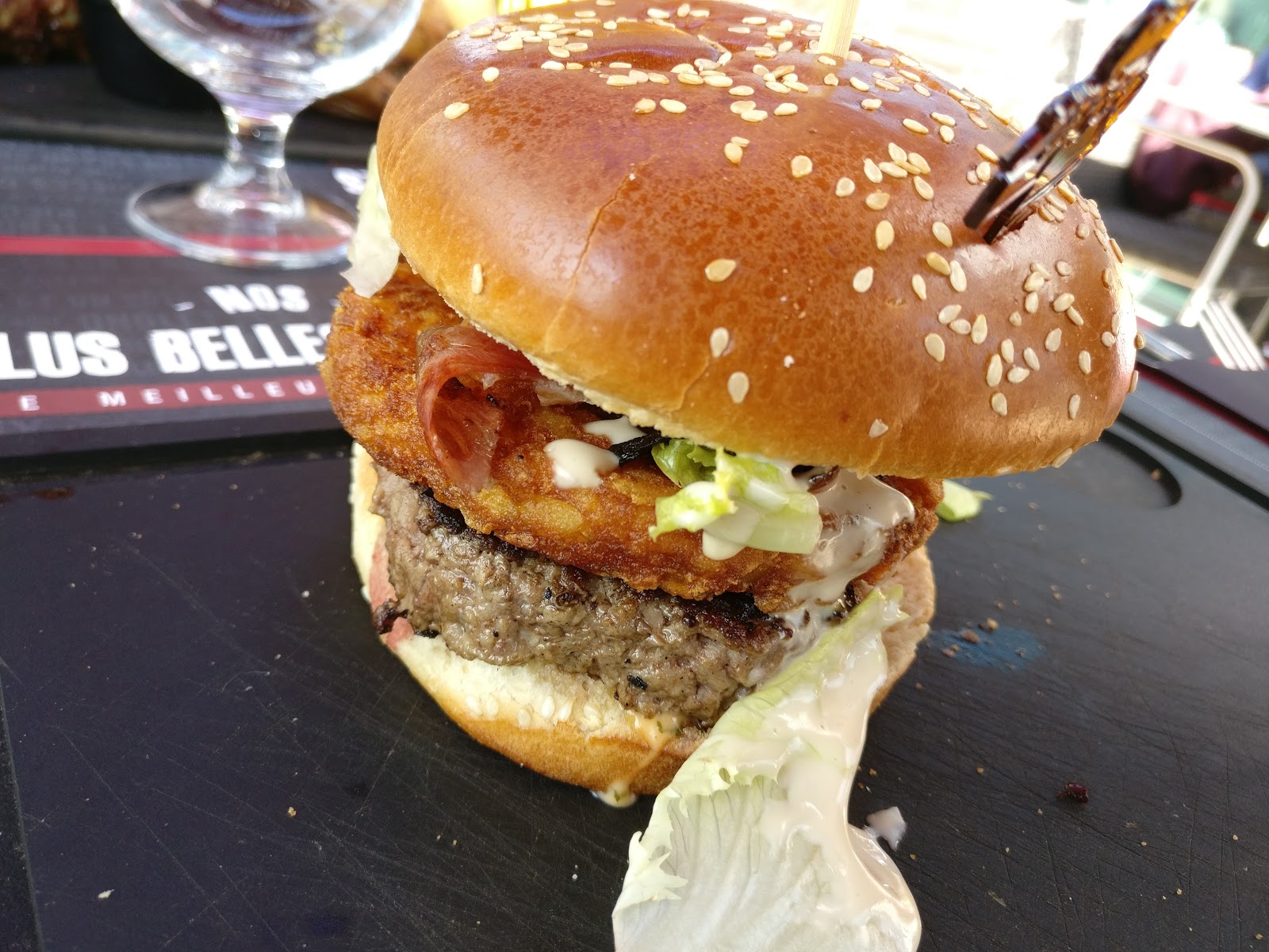 Hippopotamus — photo 2