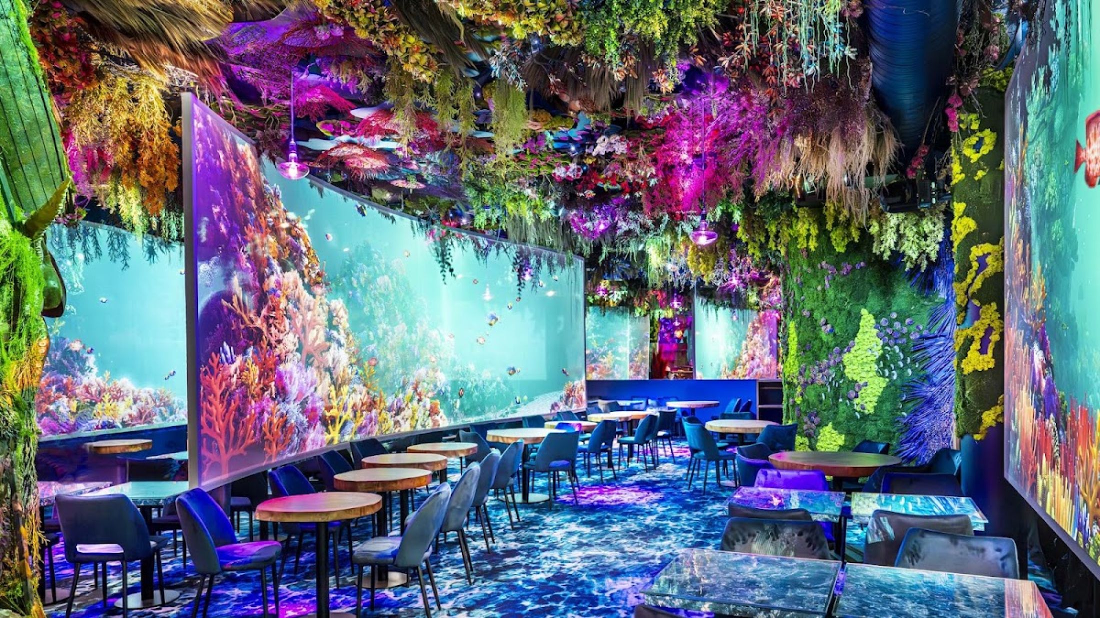 Under the Sea