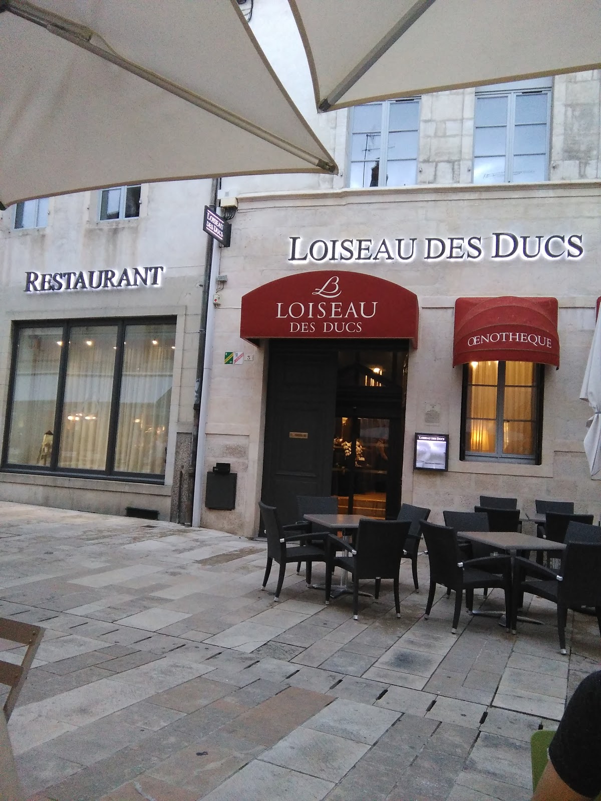 Loiseau des Ducs