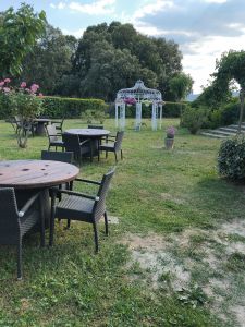 Le Grand Chêne Truffier