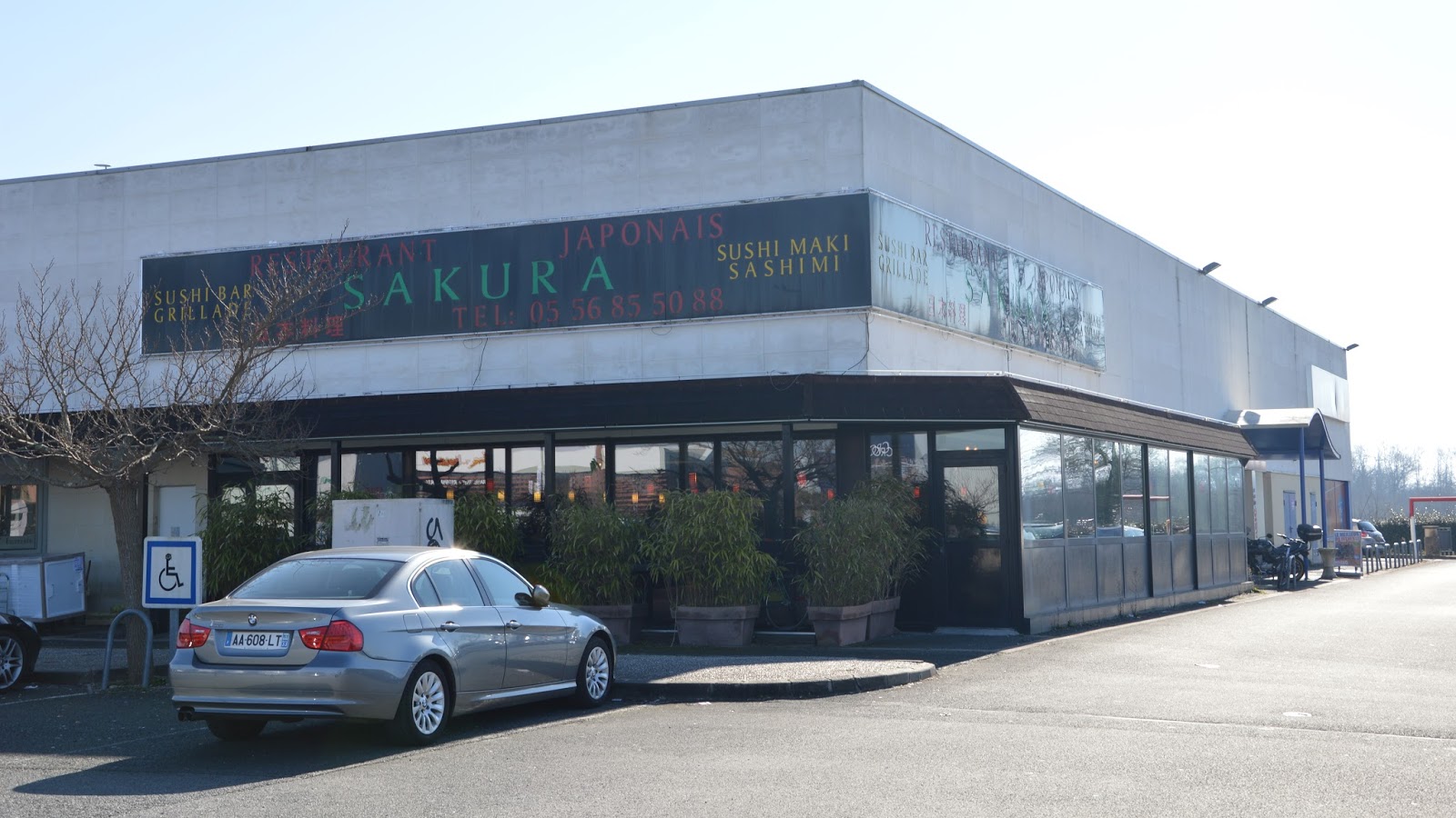 Sakura — photo 3