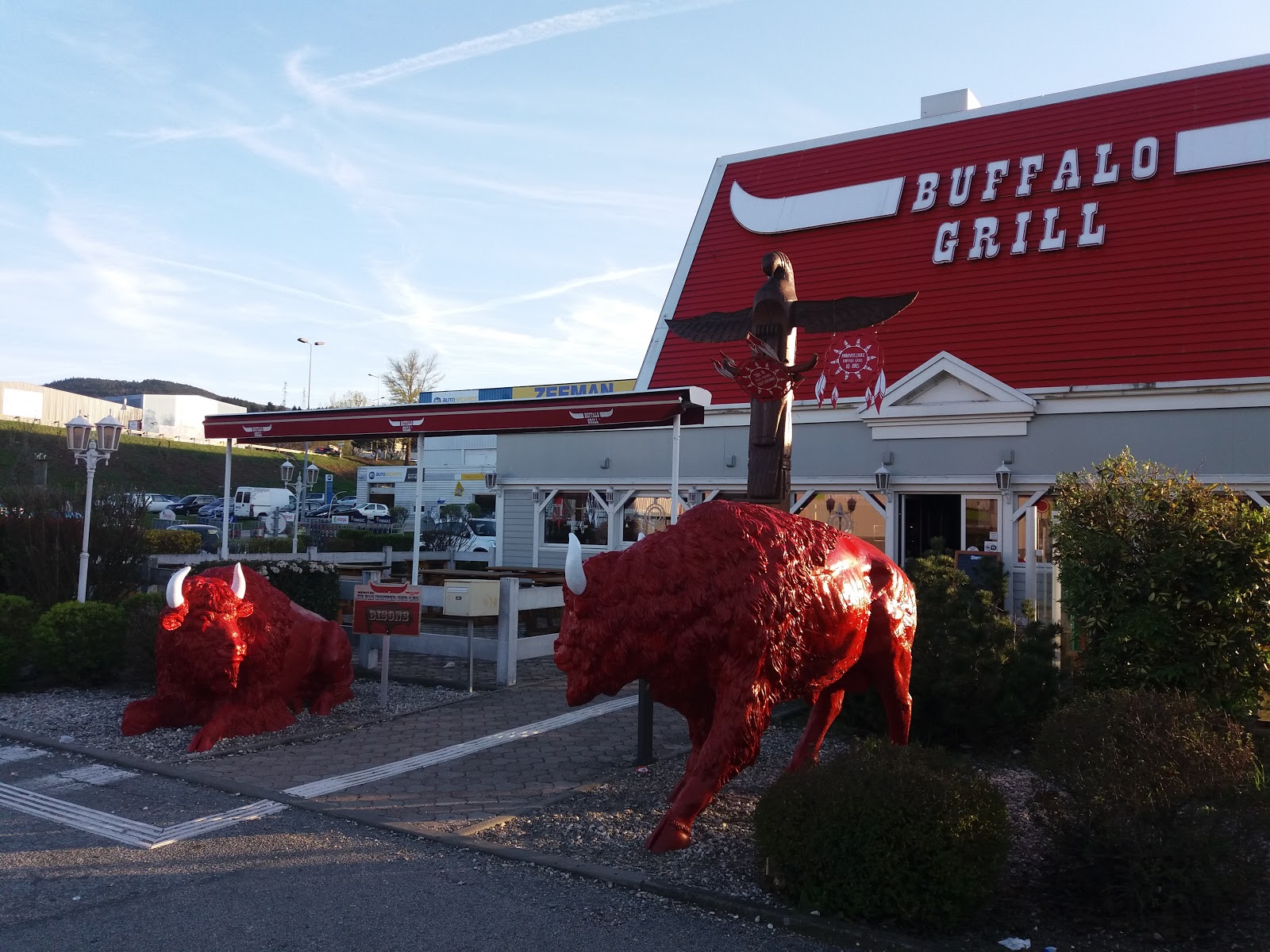 Buffalo Grill